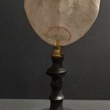 Cabinet of Curiosities sea urchin brissus unicolor on base