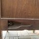 Asymmetrical Art Deco glass-fronted Parisian wardrobe in raw oak, 1930.