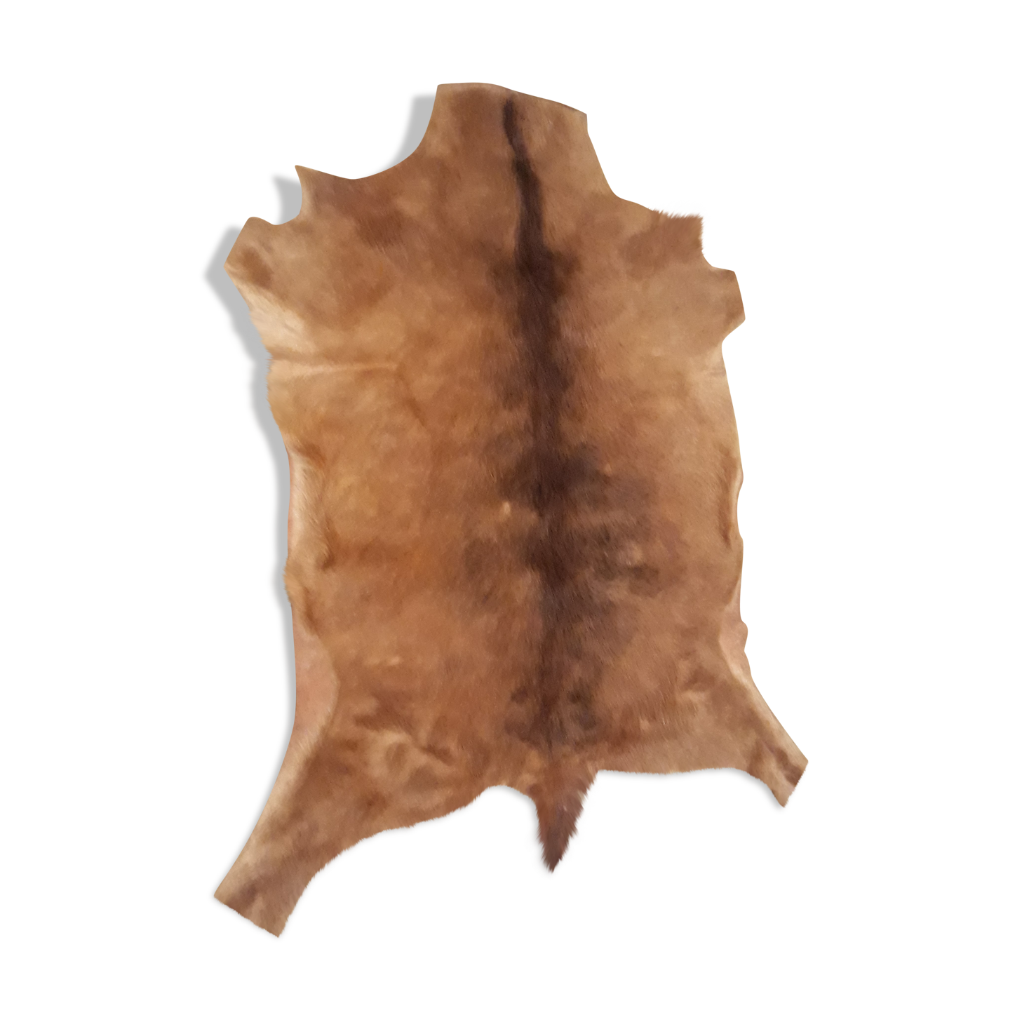 Goat skin