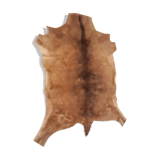 Goat skin