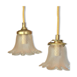 Duo of walkers in glass flowers and yellow cord