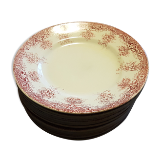 Suite de 14 assiettes en faïence de St Amand