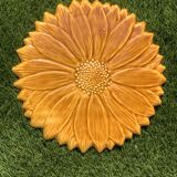 Underside Vallauris Aegitna, Saltalamacchia, sunflower model