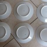12 Plates pattern flowers in Limoges porcelain