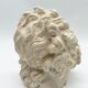 "Head of Laocoön" in plaster, contemporary reproduction, 20th century