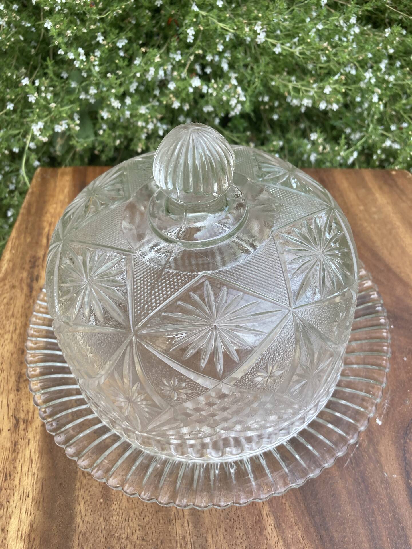Pressed and moulded glass cheese dome