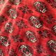 Tapis d'orient Boukhara Turkmène : 310 x 220 Cm