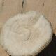 Natural white coral from the 1970s