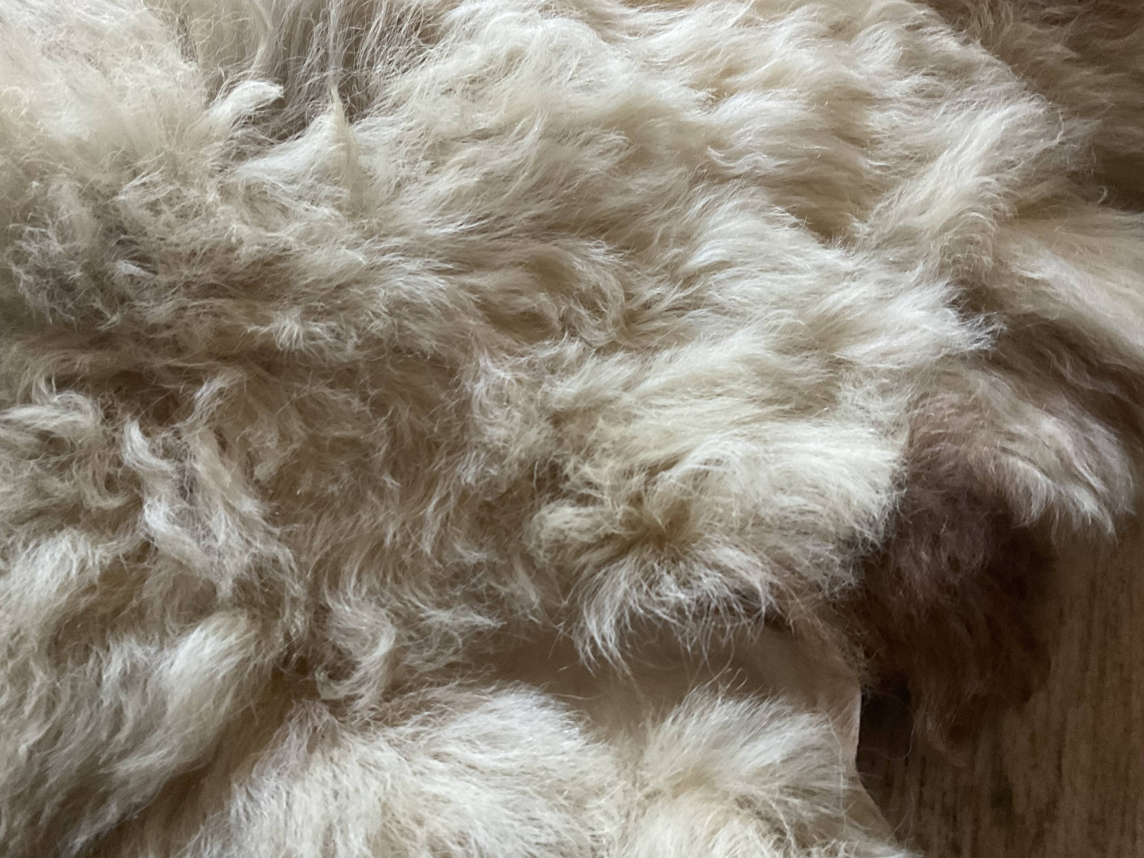 Sheep skin or angora goat