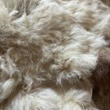Sheep skin or angora goat