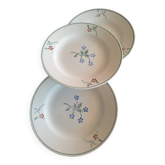3 assiettes St Amandinoise