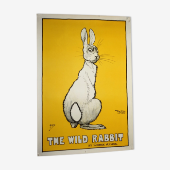 Poster the wild rabbit