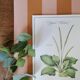 Botanical board