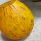 Glass paste vase