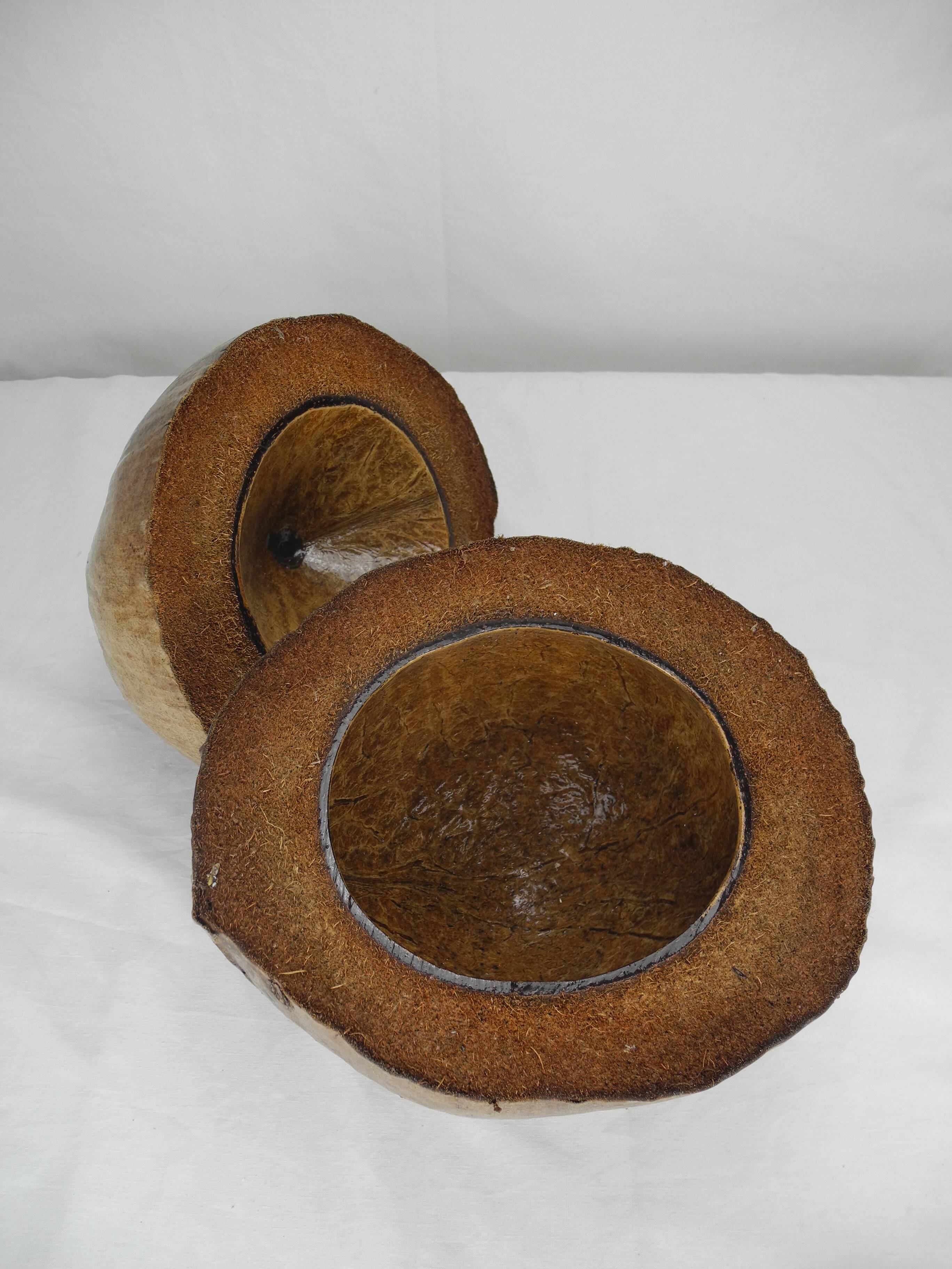 Old vintage decorative coconut ice cube bucket