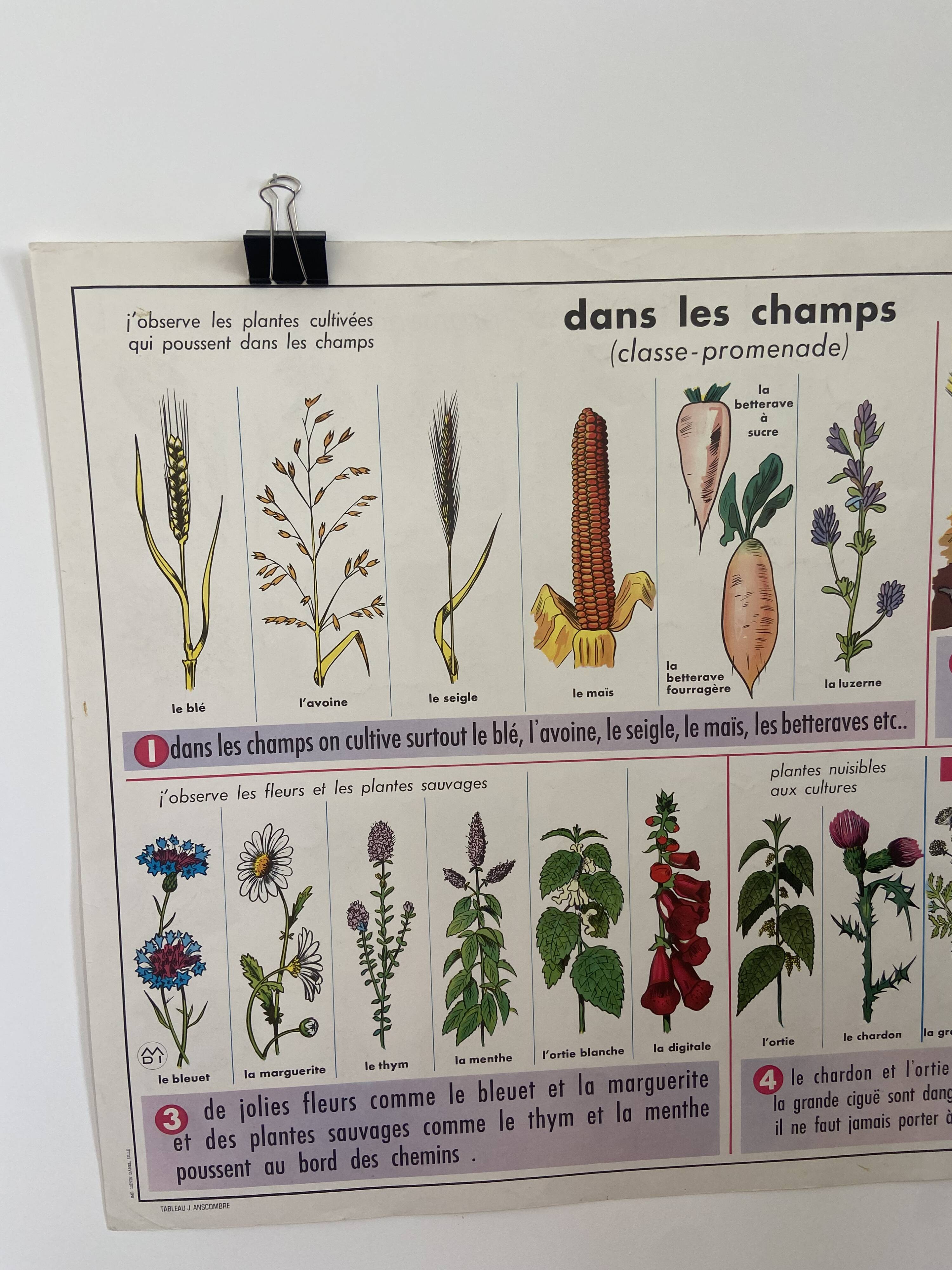 Vintage educational poster