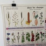 Vintage educational poster