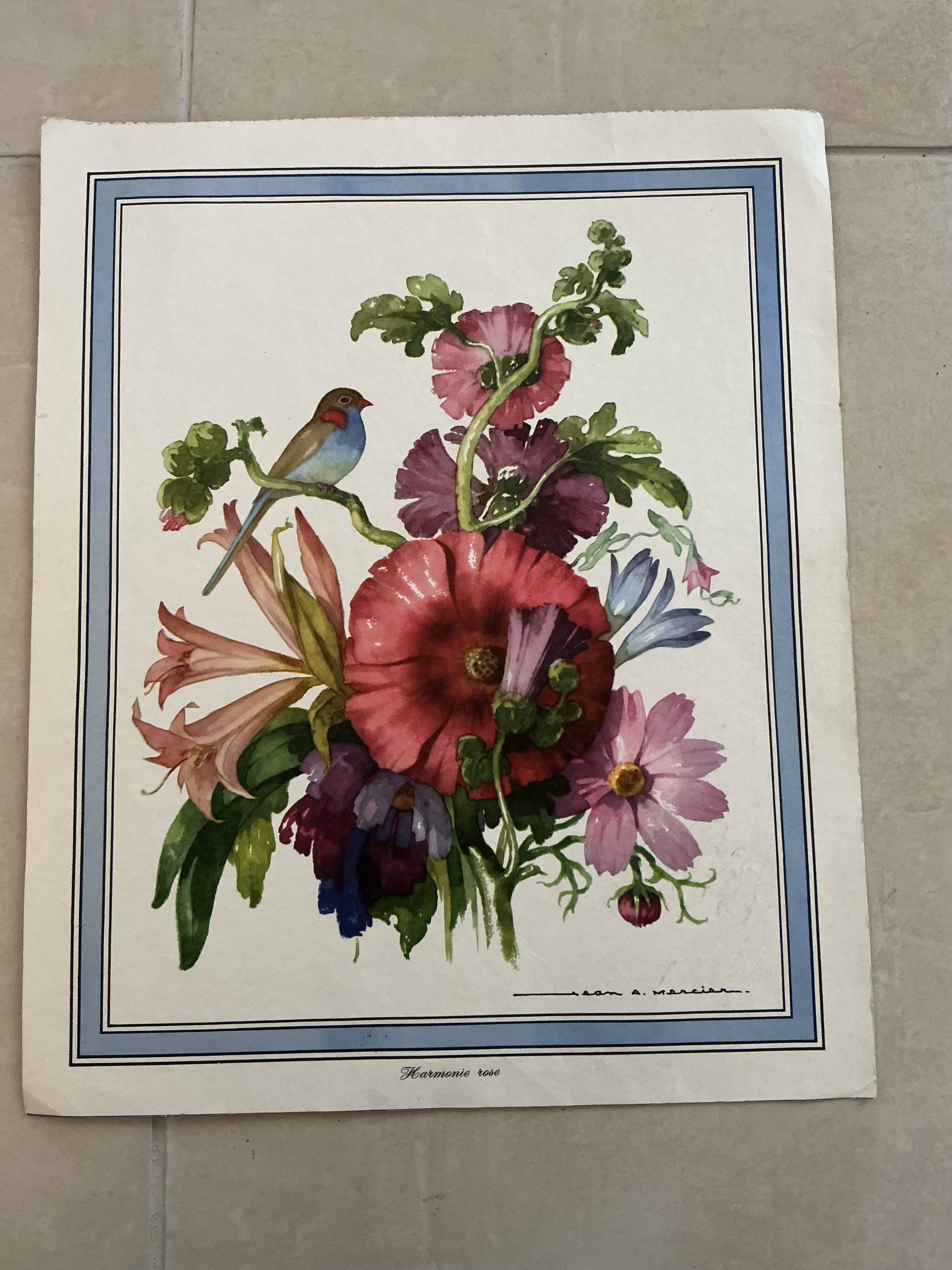 Illustration florale ancienne.