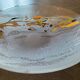 Vintage Murano glass empty pocket signed