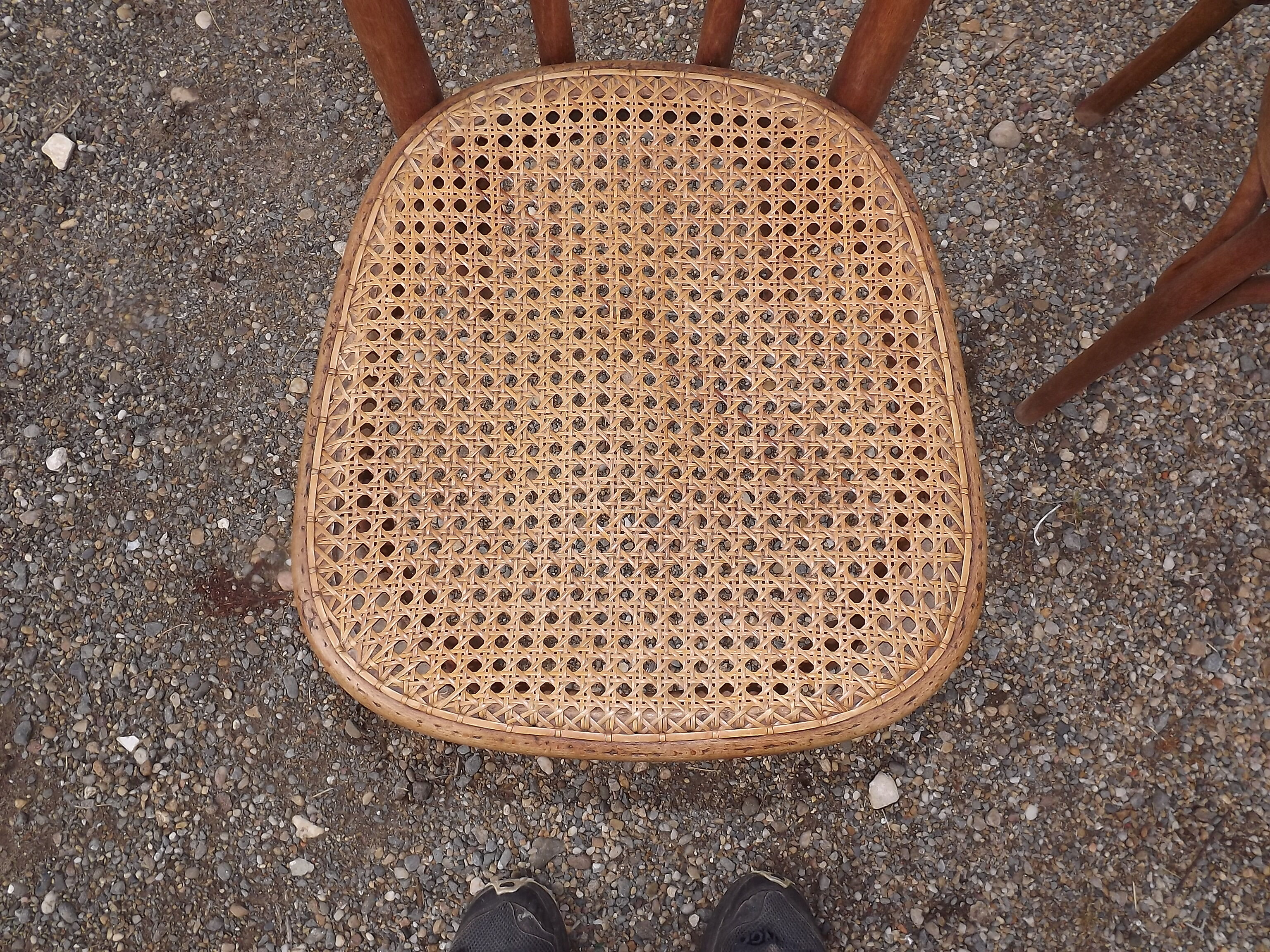 Pair of  Thonet chairs