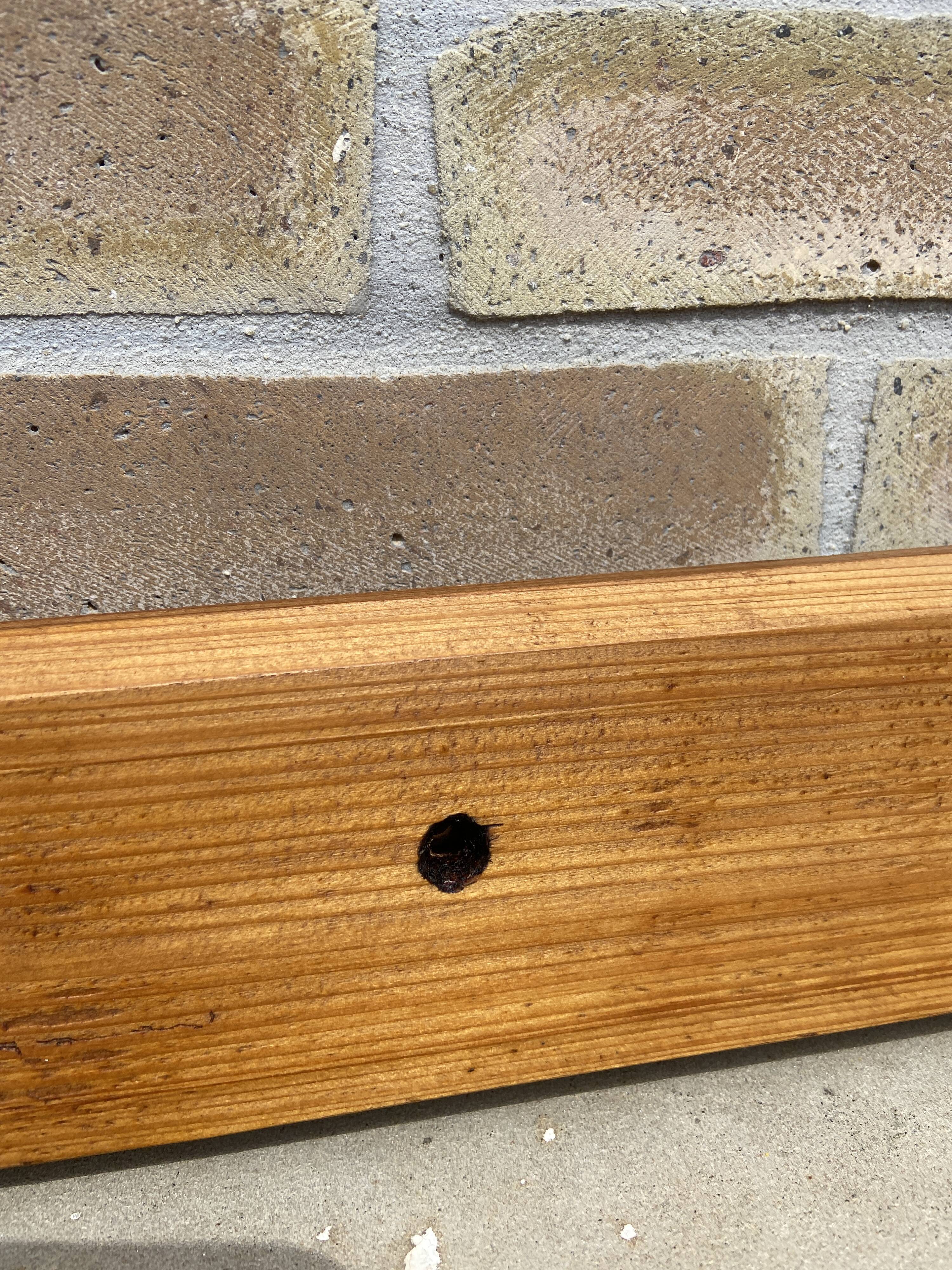 Wall coat rack in pine 1970
