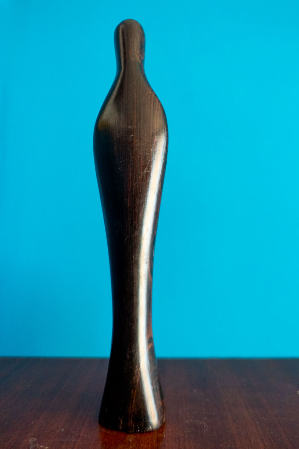 Black virgin in ebony