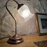 Swan neck lamp and frosted glass tulip