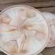 4 shellfish/fish plates 1960 barbotine Les ateliers du Revernay