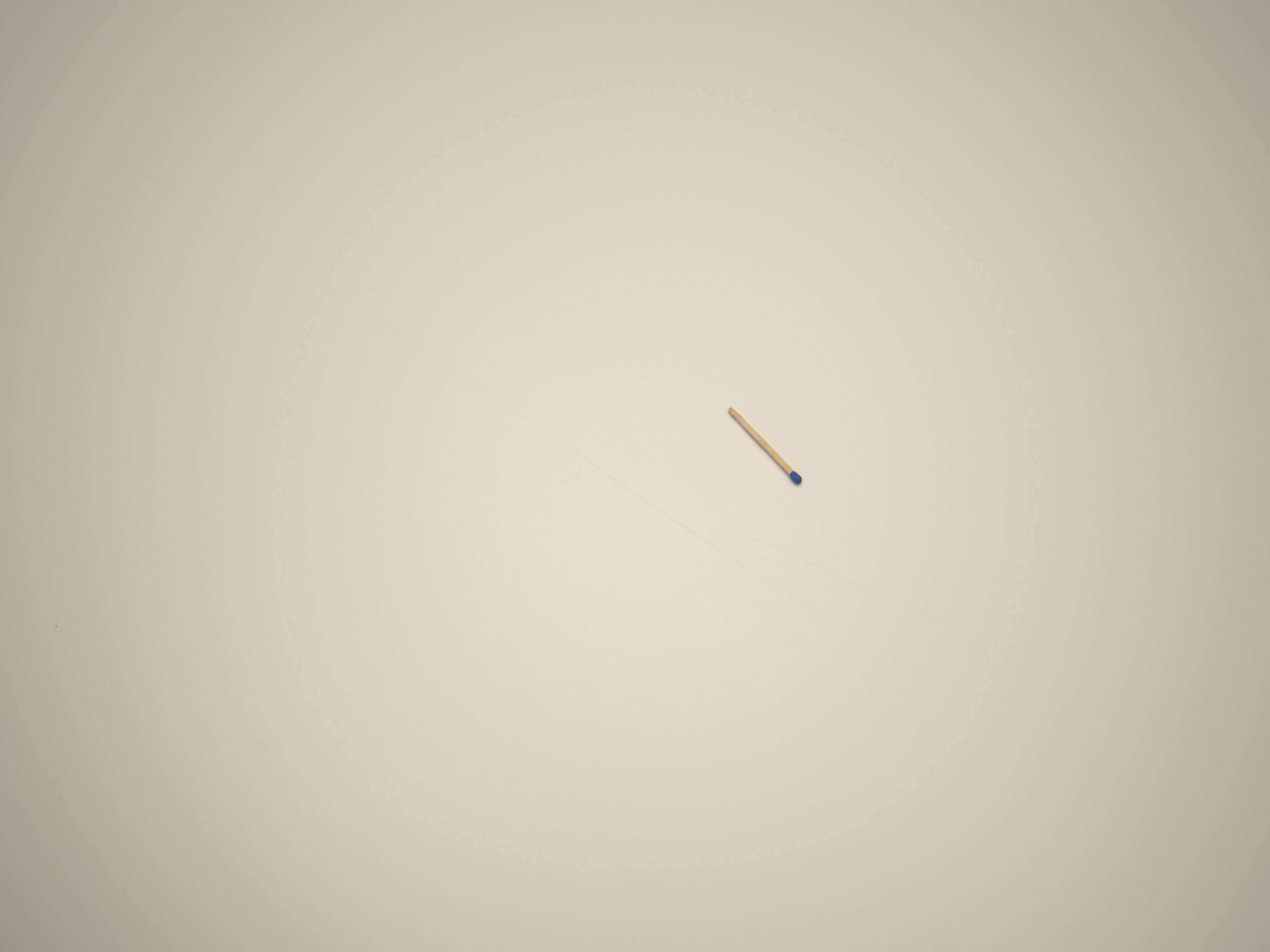 Conference table, Danish design, 2016, designer: Paul Leroy, manufacturer: Paustian