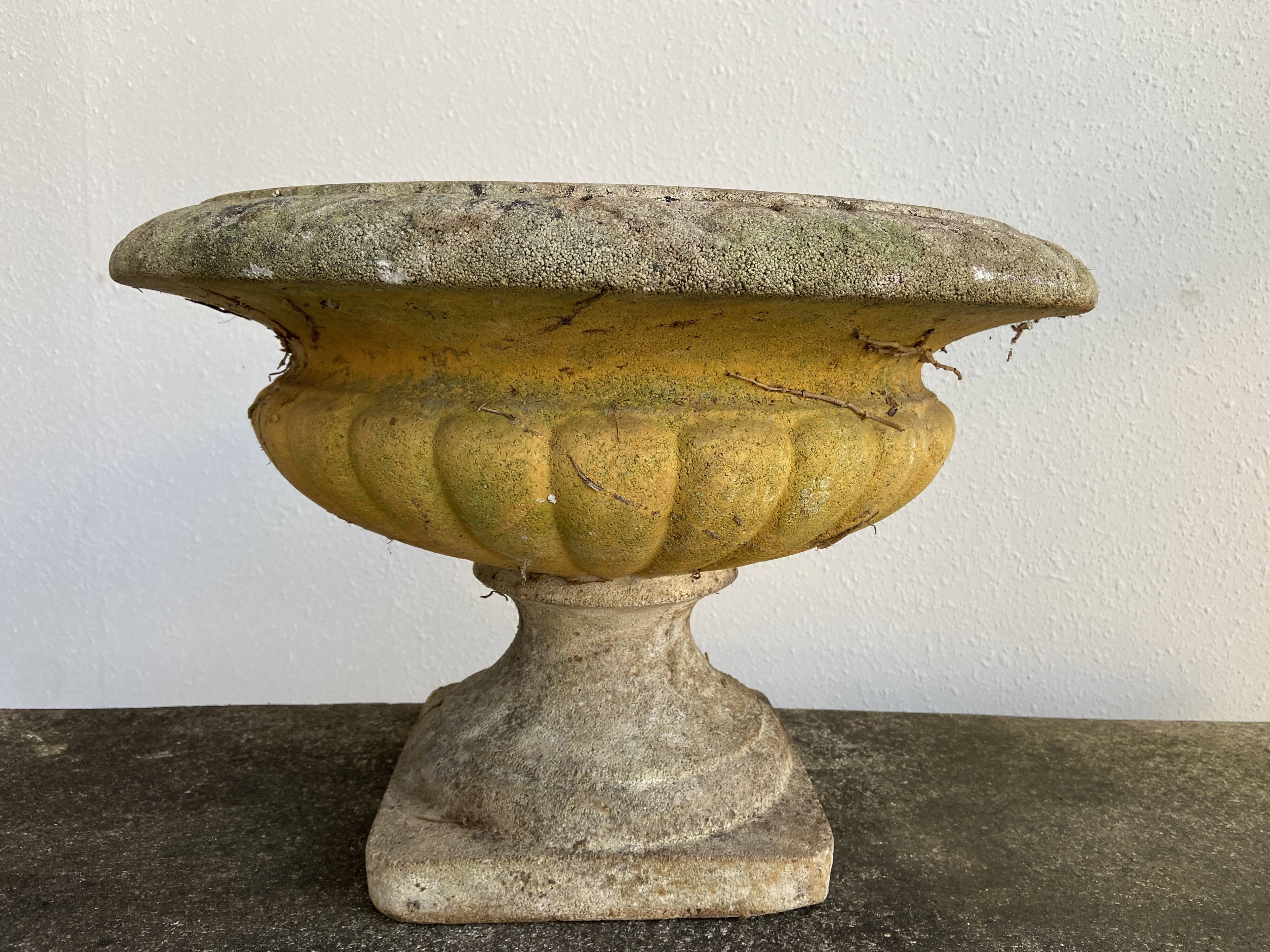 Vintage Medici vase cutter