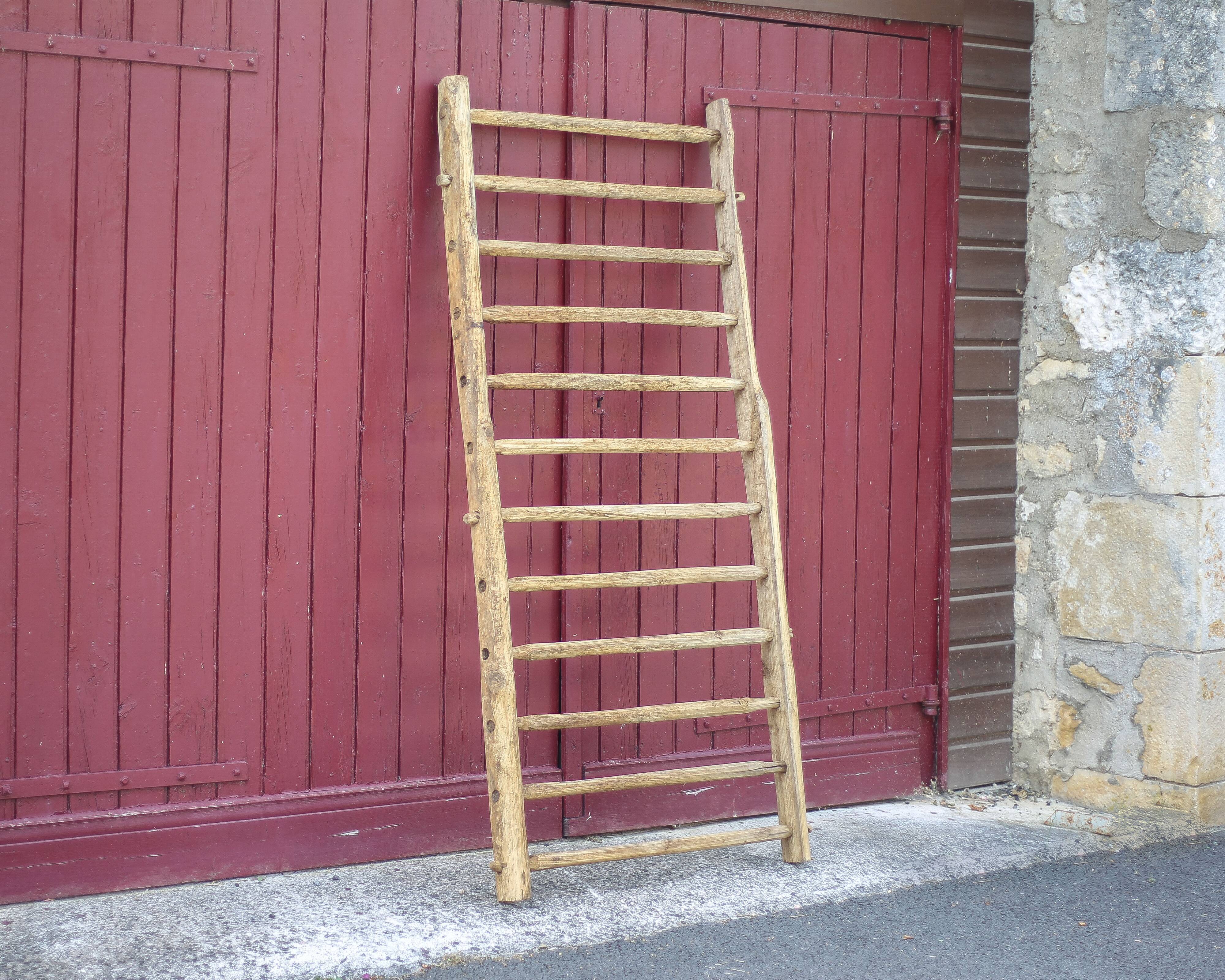 Antique vintage wooden animal fence, wall trellis, plant stand