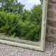 Large antique bevelled mirror in carved solid wood, green lizard – 129 × 75