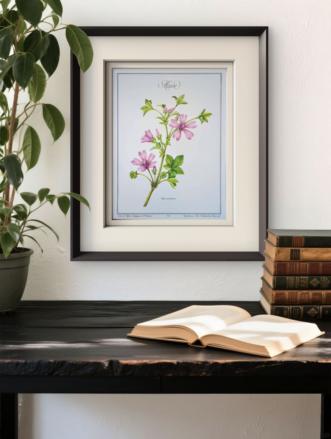 Printed in 1986, the Mauve. Vintage Botany.