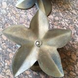 Pair of floral sconces