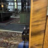 Petite vitrine art déco en noyer et placage
