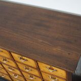 Dutch industrial apothecary cabinet in beech and oak 1940s