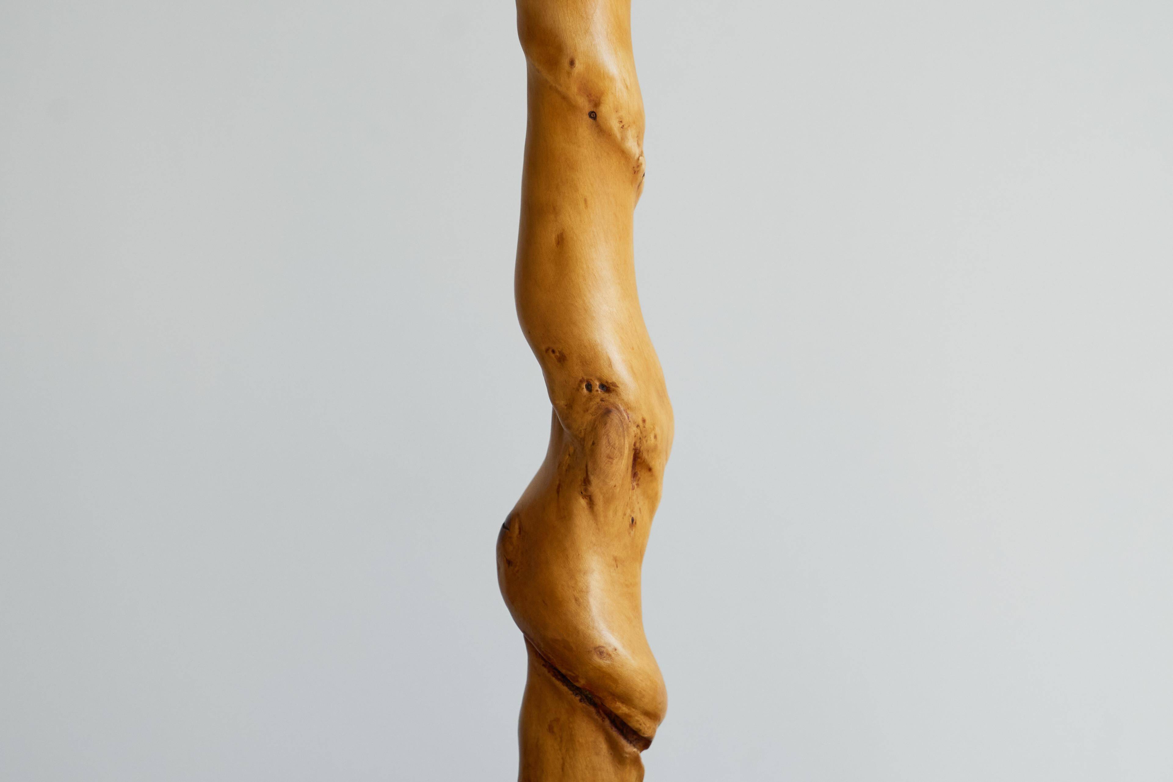 Table lamp acacia trunk oak 1950s