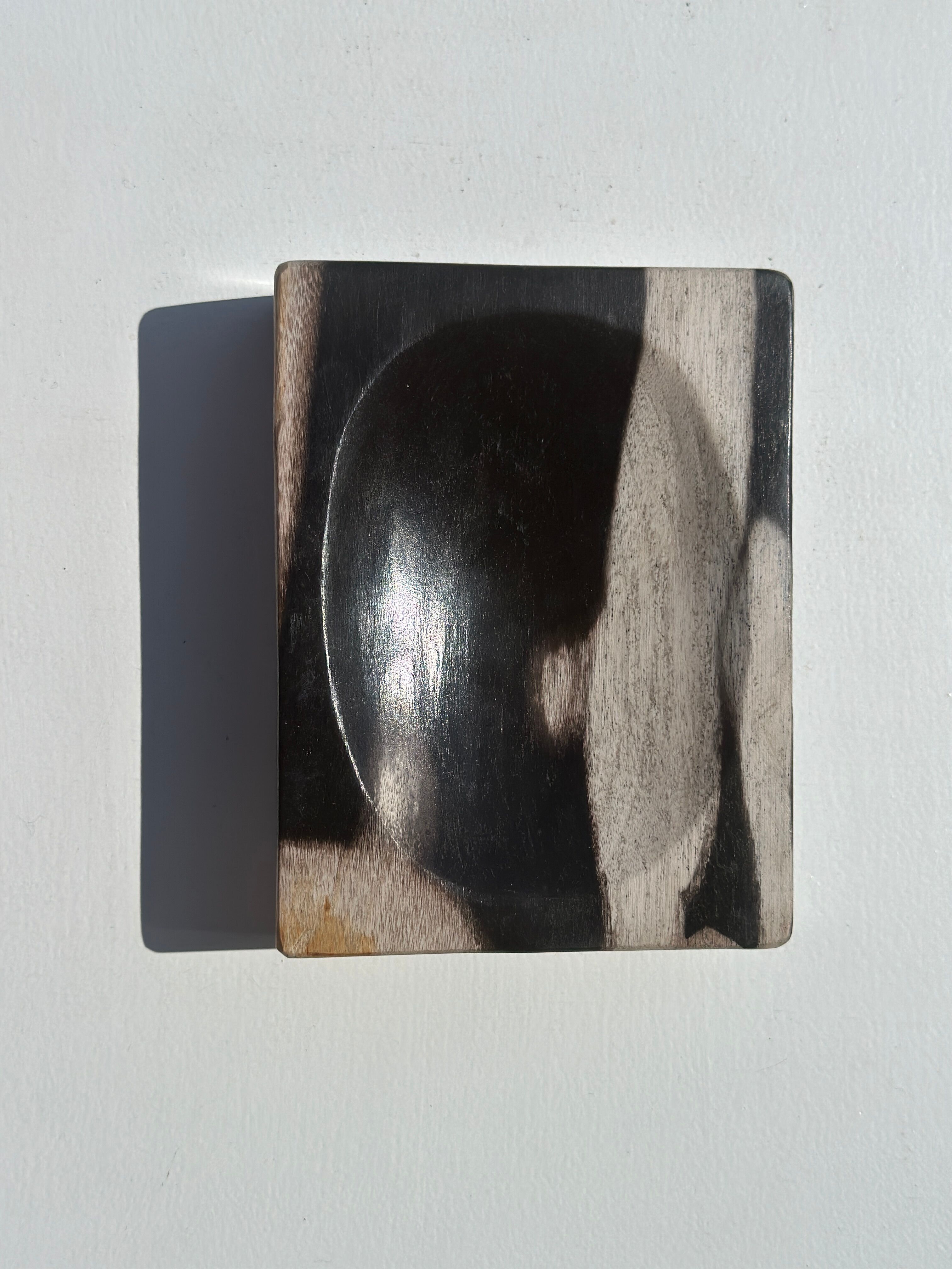 Symmetrical multicolored petrified wood soap dish