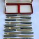 12 Couteaux lames inox bouts ronds / manches Bakélite effet nacré / Prulhière La Béquille + Coffret / Années 50