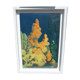 Signed painting with frame