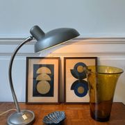 Industrial metal workshop lamp with a gooseneck.