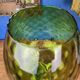 Vase vert, en verre empoli vintage