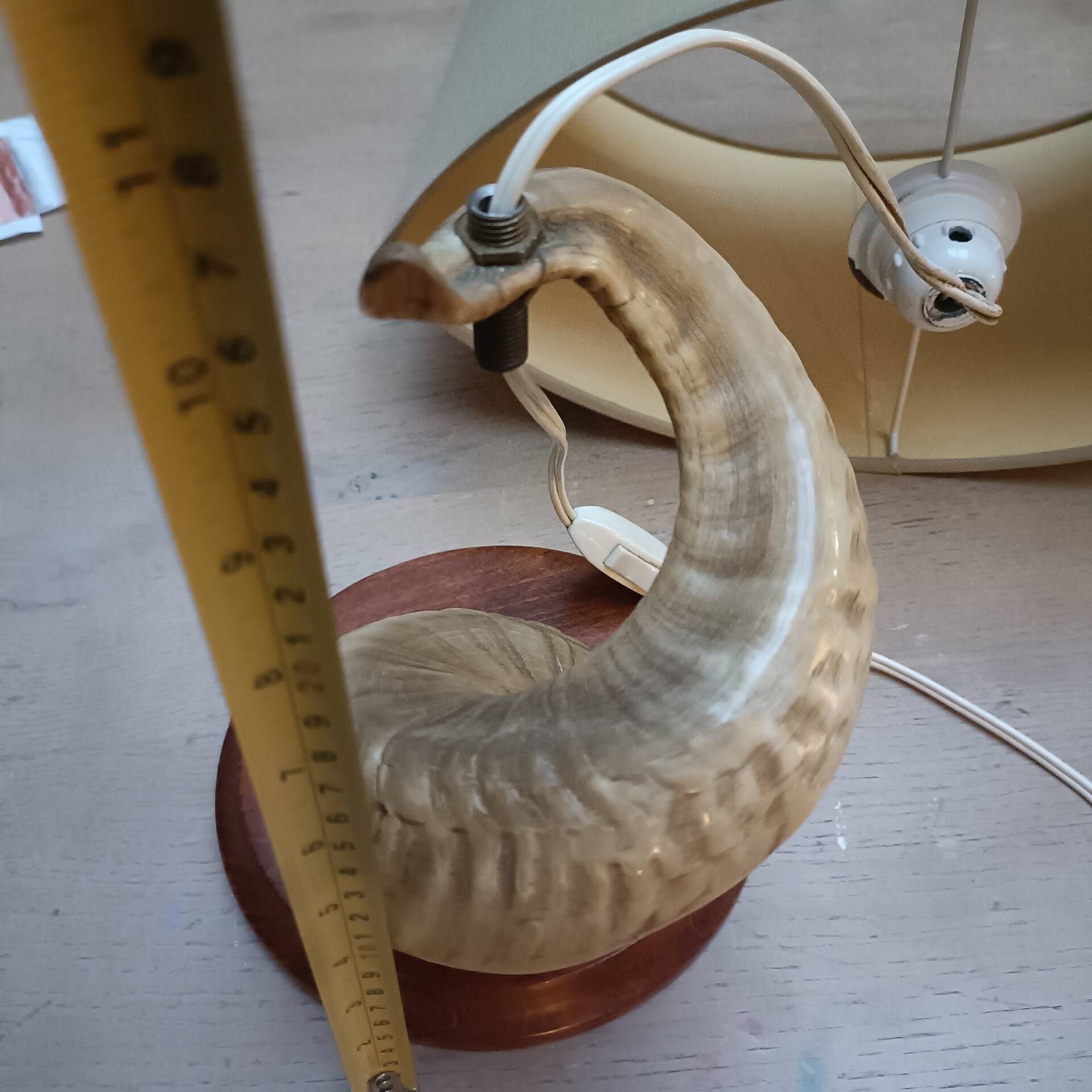 Vintage ram's horn living room lamp