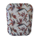 Plateau birds of paradise fiberglass Manover