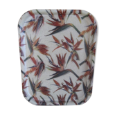 Plateau birds of paradise fiberglass Manover