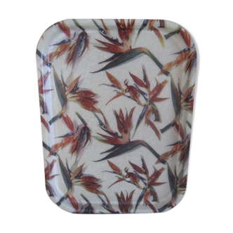 Plateau birds of paradise fiberglass Manover