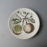 Bavaria fruit decor ceramic plate