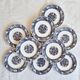 Lot de 11 assiettes Arcopal
