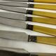12 Antique Knives with Bakelite Handles and Stainless Steel Blades - 24 cm - Paris