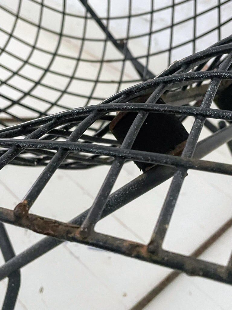 Bird Chair Harry Bertoia for Knoll Black